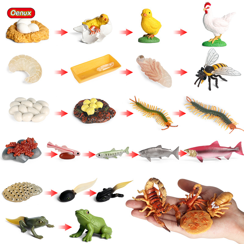 Экшн-фигурки Oenux в виде насе – обзор и цена Baby Products Pictures